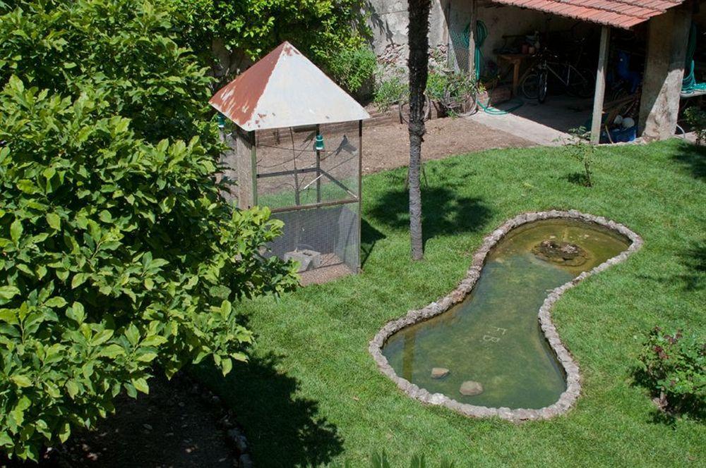 Borgo Largo 51 Bed & Breakfast Pisa Ngoại thất bức ảnh